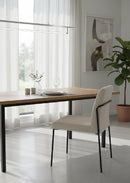 Minimalist Padded Dining Chairs (2) | Novi Living Danny
