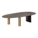 Oval Aluminum Coffee Table | Novi Living Nicko