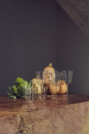 Dotted Glass Tumbler | Pols Potten Nob | Oroatrade.com