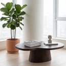 Brown Mango Organic Coffee Table | Richmond Interiors Odile