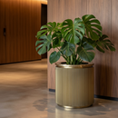 Gold Cylindrical Ridged Planter | Richmond Interiors Ironville