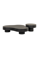 Organic-Shaped Coffee Tables (2) | Richmond Interiors Bogor | Oroatrade.com
