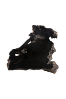 Black Teak Root Coffee Table | Splendido Wyatt | Oroa.com