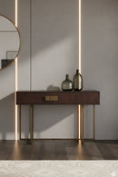 Brown Wooden 2-Drawer Console Table | Splendido Jade | Oroa.com