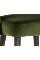 Green Cutout-Back Counter Stool | Splendido Monae | Oroa.com