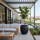 Black Concrete Indoor/Outdoor Planter | Splendido Coleus