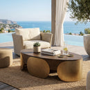 Timber Effect Indoor/Outdoor Coffee Table | Splendido Amarula