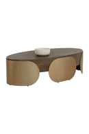 Timber Effect Indoor/Outdoor Coffee Table | Splendido Amarula