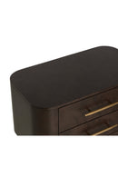 Contract furniture - Brown Burl Veneer 2-Drawer Nightstand - www.oroatrade.com