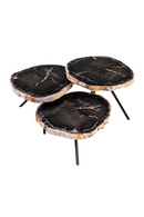 Petrified Wood Coffee Table Set (3) | Versmissen | Oroatrade.com