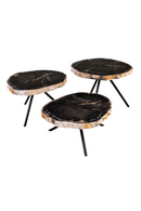 Petrified Wood Coffee Table Set (3) | Versmissen | Oroatrade.com