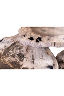 Petrified Wood Coffee Table Set (3) | Versmissen | Oroatrade.com