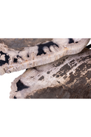 Petrified Wood Coffee Table Set (3) | Versmissen | Oroatrade.com
