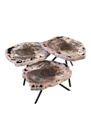 Petrified Wood Coffee Table Set (3) | Versmissen | Oroatrade.com