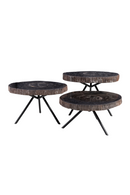 Petrified Wood Coffee Table Set (3) | Versmissen | Oroatrade.com