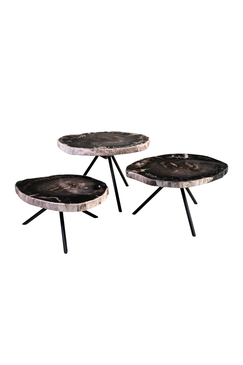 Petrified Wood Coffee Table Set (3) | Versmissen | Oroatrade.com