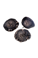 Petrified Wood Coffee Table Set (3) | Versmissen | Oroatrade.com