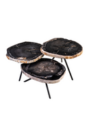 Petrified Wood Coffee Table Set (3) | Versmissen | Oroatrade.com
