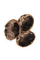 Petrified Wood Coffee Table Set (3) | Versmissen | Oroatrade.com