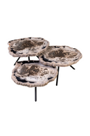 Petrified Wood Coffee Table Set (3) | Versmissen | Oroatrade.com