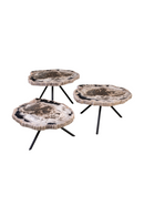 Petrified Wood Coffee Table Set (3) | Versmissen | Oroatrade.com