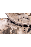 Petrified Wood Coffee Table Set (3) | Versmissen | Oroatrade.com