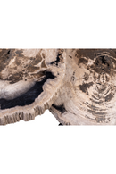 Petrified Wood Coffee Table Set (3) | Versmissen | Oroatrade.com