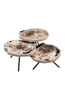 Petrified Wood Coffee Table Set (3) | Versmissen | Oroatrade.com