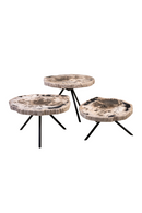 Petrified Wood Coffee Table Set (3) | Versmissen | Oroatrade.com