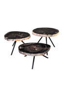 Petrified Wood Coffee Table Set (3) | Versmissen | Oroatrade.com
