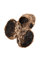 Petrified Wood Coffee Table Set (3) | Versmissen | Oroatrade.com