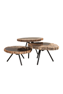 Petrified Wood Coffee Table Set (3) | Versmissen | Oroatrade.com