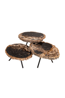 Petrified Wood Coffee Table Set (3) | Versmissen | Oroatrade.com
