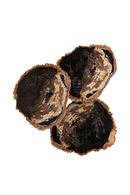 Petrified Wood Coffee Table Set (3) | Versmissen | Oroatrade.com