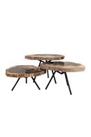 Petrified Wood Coffee Table Set (3) | Versmissen | Oroatrade.com