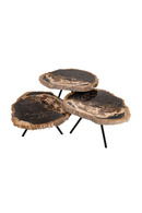 Petrified Wood Coffee Table Set (3) | Versmissen | Oroatrade.com