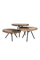 Petrified Wood Coffee Table Set (3) | Versmissen | Oroatrade.com