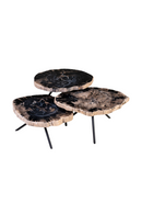 Petrified Wood Coffee Table Set (3) | Versmissen | Oroatrade.com