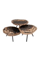 Petrified Wood Coffee Table Set (3) | Versmissen | Oroatrade.com