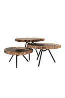 Petrified Wood Coffee Table Set (3) | Versmissen | Oroatrade.com