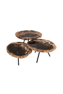 Petrified Wood Coffee Table Set (3) | Versmissen | Oroatrade.com