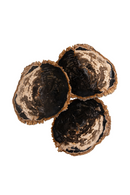 Petrified Wood Coffee Table Set (3) | Versmissen | Oroatrade.com