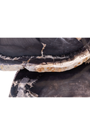 Petrified Wood Coffee Table Set (3) | Versmissen | Oroatrade.com