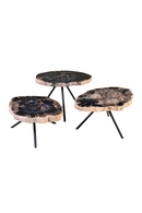 Petrified Wood Coffee Table Set (3) | Versmissen | Oroatrade.com