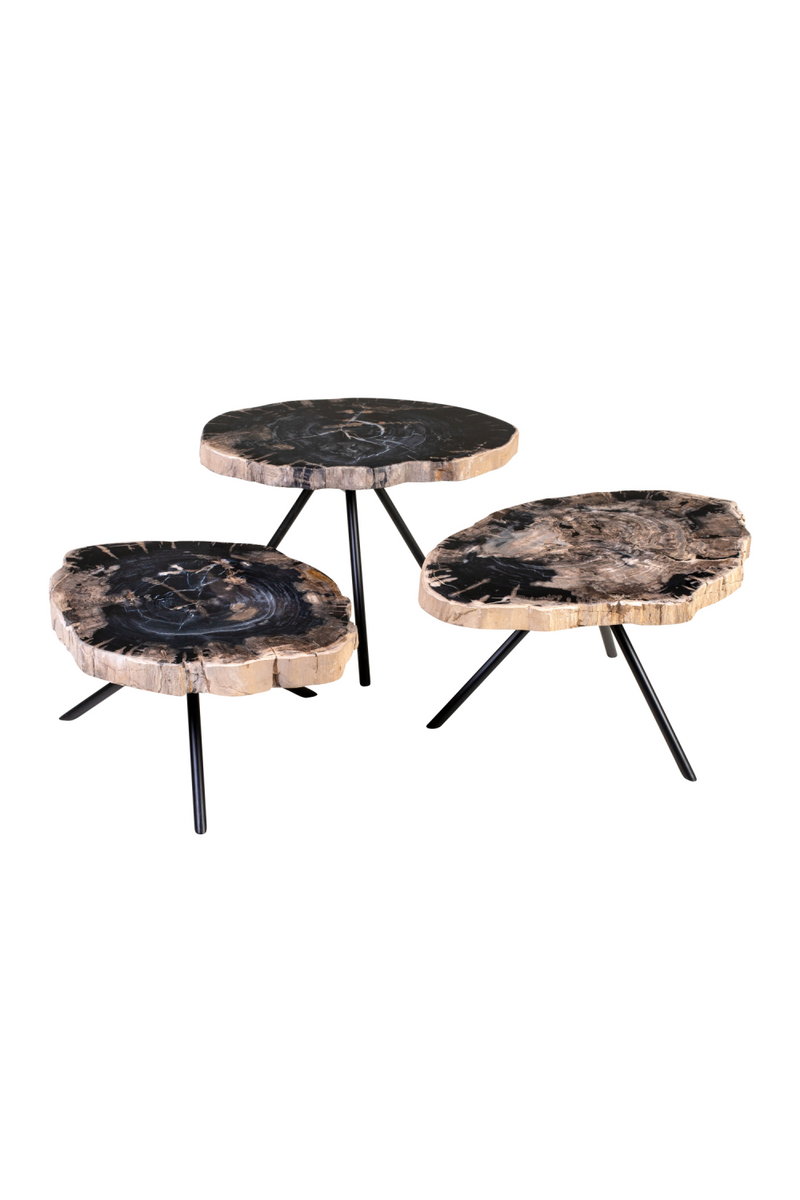Petrified Wood Coffee Table Set (3) | Versmissen | Oroatrade.com