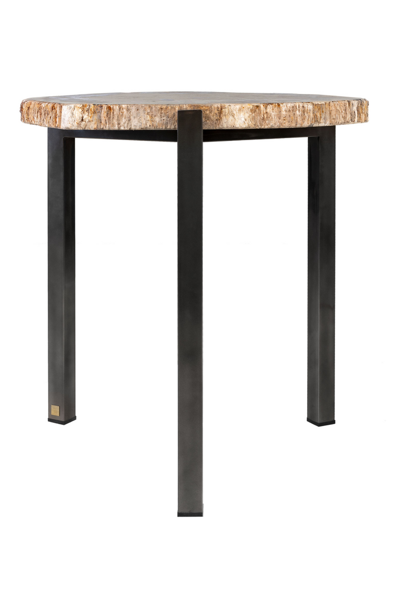 Petrified Wood Occasional Table | Versmissen | Oroatrade.com