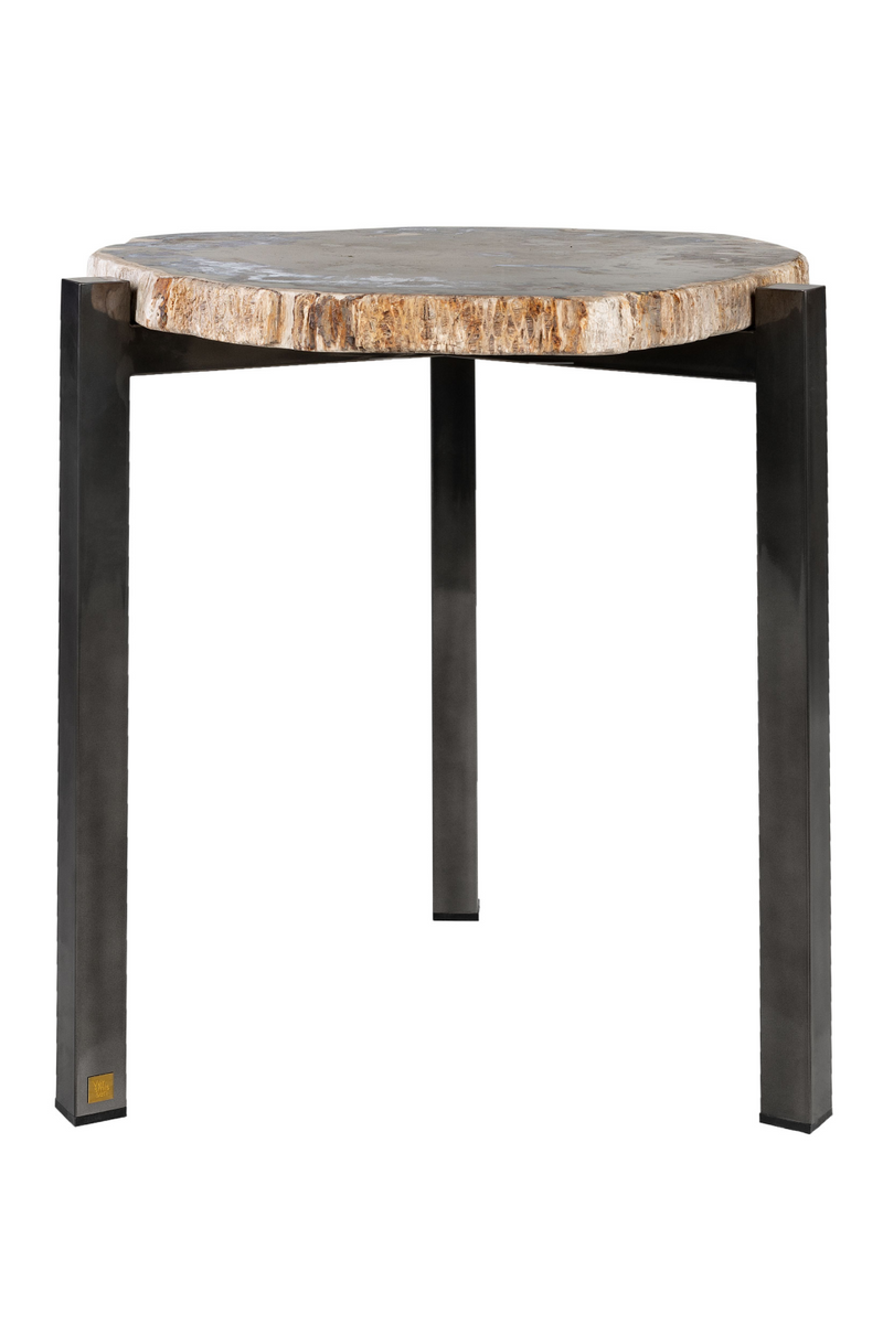 Petrified Wood Occasional Table | Versmissen | Oroatrade.com