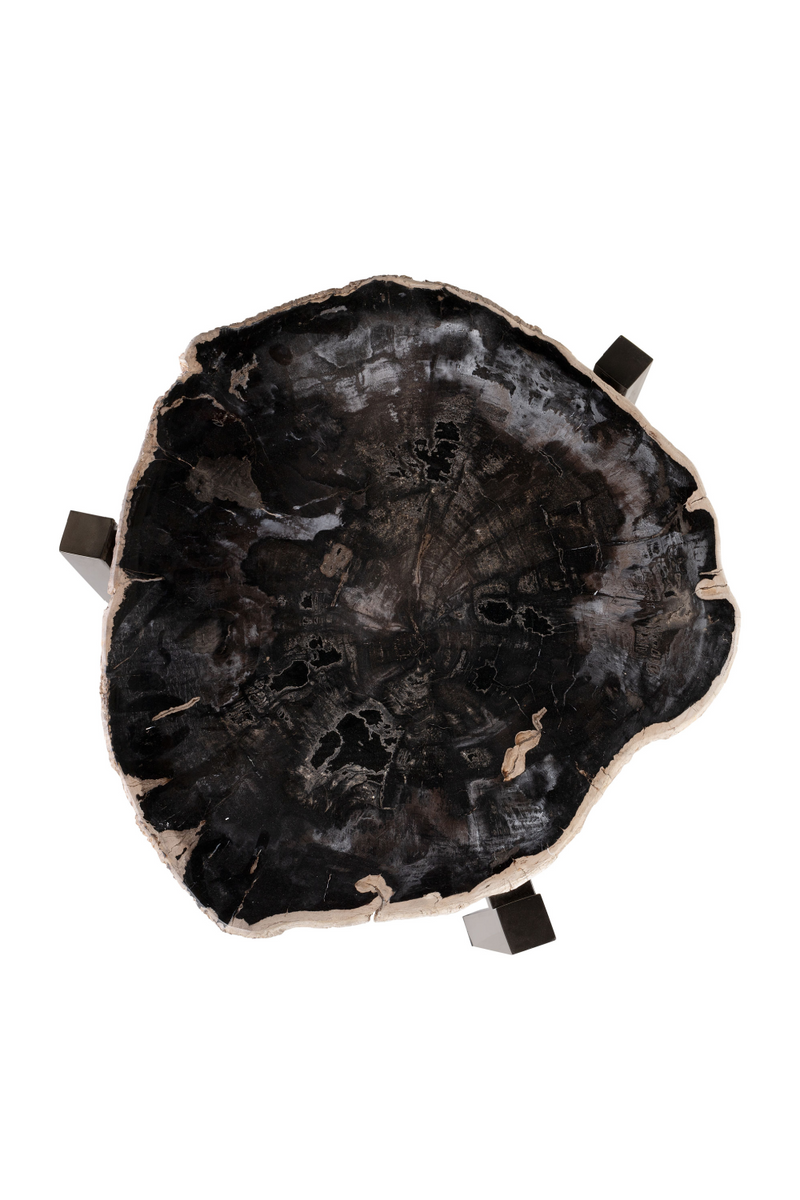 Petrified Wood Occasional Table | Versmissen | Oroatrade.com