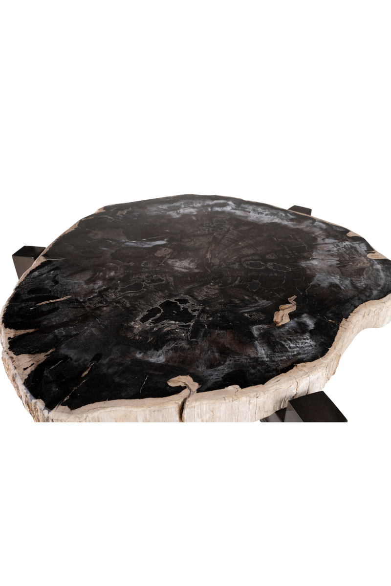 Petrified Wood Occasional Table | Versmissen | Oroatrade.com