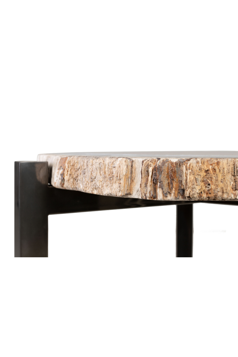 Petrified Wood Occasional Table | Versmissen | Oroatrade.com